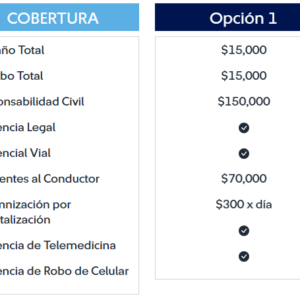 Opción 1
