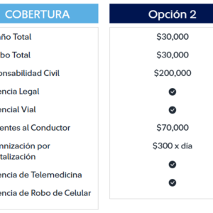 Opción 2