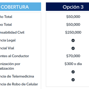 Opción 3